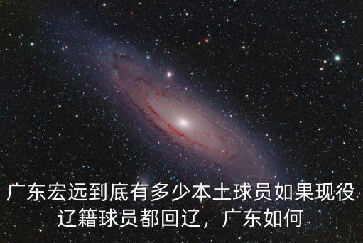 廣東宏遠到底有多少本土球員如果現役遼籍球員都回遼，廣東如何