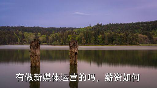 有做新媒體運營的嗎，薪資如何
