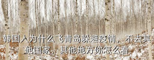 韓國人為什么飛青島躲避疫情，不去其他國家，其他地方你怎么看