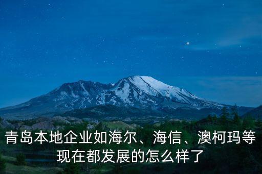 青島本地企業如海爾、海信、澳柯瑪等現在都發展的怎么樣了
