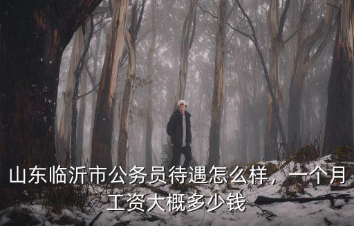 山東公務員退休工資多少錢一個月多少錢,山東臨沂市公務員待遇怎么樣