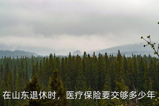 醫保山東地區需要交多少年,在山東退休時