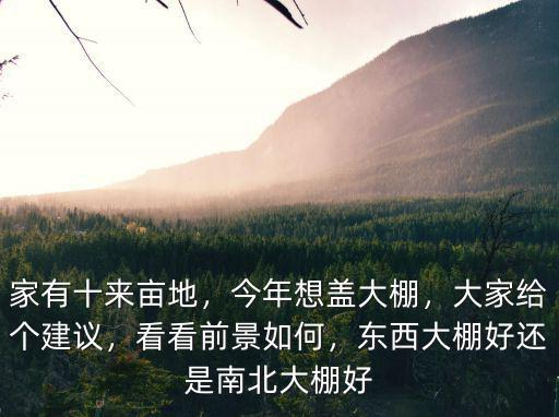 山東大棚尖椒有多少畝地,家有十來畝地