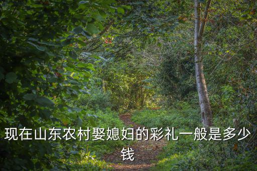 山東濟(jì)南平陰縣彩禮多少錢,濟(jì)南周邊地區(qū)大概要多少彩禮