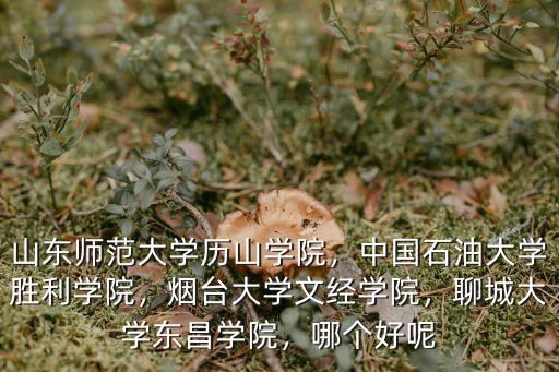 山東師范大學歷山學院的學費是多少,山東師范大學歷山學院怎么樣