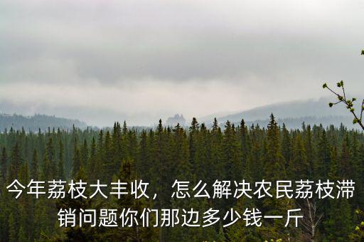 深圳荔枝采摘多少錢一斤,你們那邊多少錢一斤
