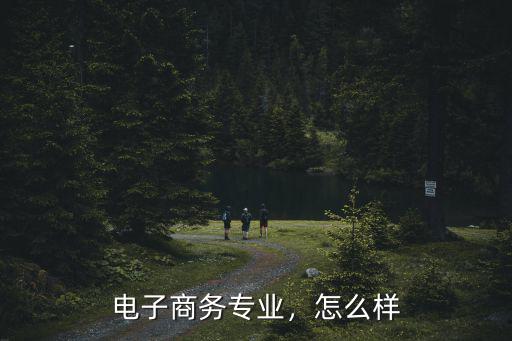 電子商務專業，怎么樣