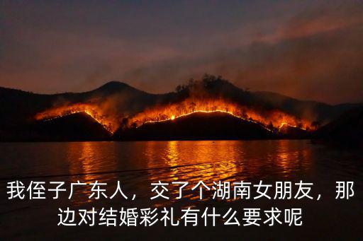 我侄子廣東人，交了個湖南女朋友，那邊對結婚彩禮有什么要求呢