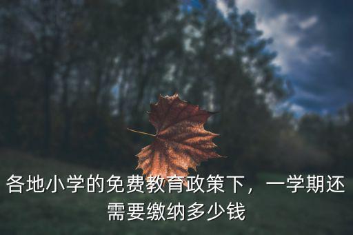 深圳學校一學期多少錢,一學期還需要繳納多少錢