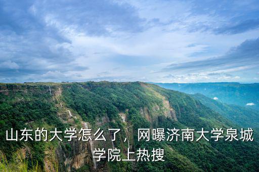 濟南大學泉城學院蓬萊校區多少錢,網曝濟南大學泉城學院上熱搜