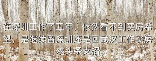 深圳臨深置業在哪里,在深圳工作了五年