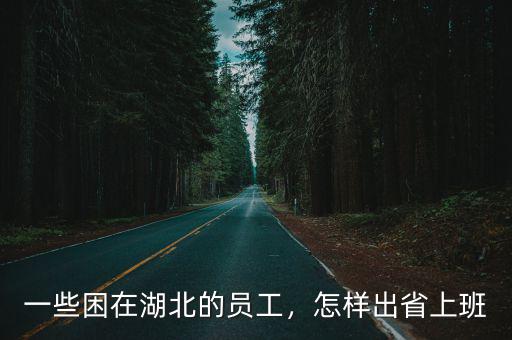 困在湖北怎么返回廣州,一些困在湖北的員工