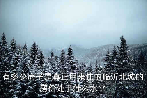 有多少房子是真正用來住的臨沂北城的房價處于什么水平