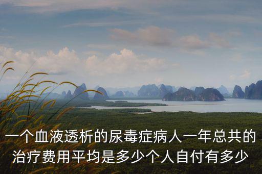 一個(gè)血液透析的尿毒癥病人一年總共的治療費(fèi)用平均是多少個(gè)人自付有多少