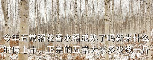 濟寧稻花香大米多少錢,正宗的五常大米多少錢一斤
