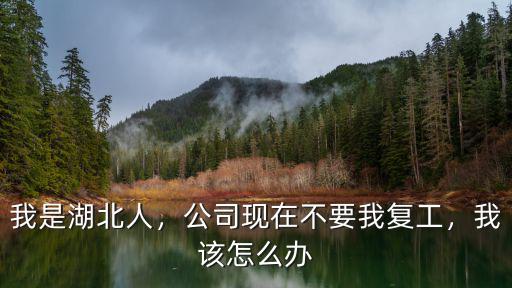 我是湖北人，公司現在不要我復工，我該怎么辦