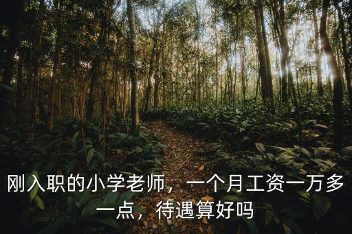 剛?cè)肼毜男W(xué)老師，一個月工資一萬多一點，待遇算好嗎