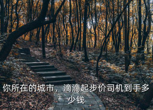 你所在的城市，滴滴起步價司機到手多少錢