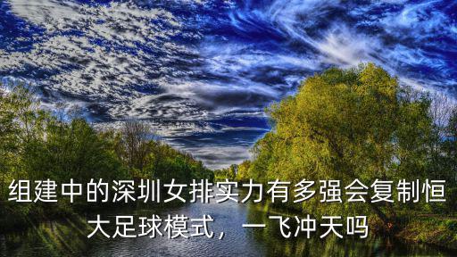 深圳女排實力怎么樣,眾多國手加入深圳女排