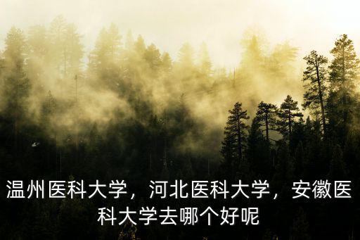 溫州醫科大學，河北醫科大學，安徽醫科大學去哪個好呢