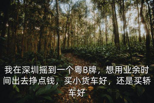 我在深圳搖到一個粵B牌，想用業余時間出去掙點錢，買小貨車好，還是買轎車好