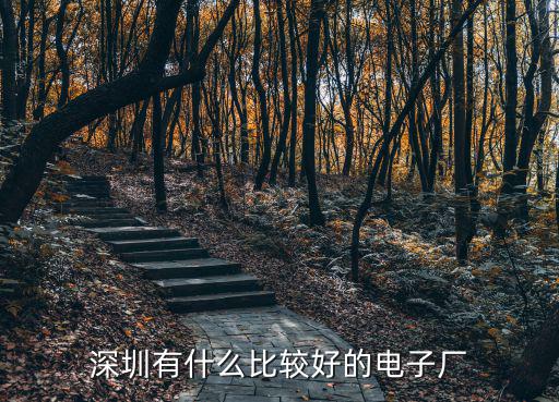 深圳藍山哪里有工廠,深圳有什么比較好的電子廠