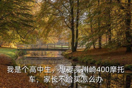 我是個高中生，想要買川崎400摩托車，家長不給買怎么辦