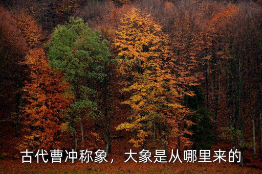 古代曹沖稱象，大象是從哪里來的