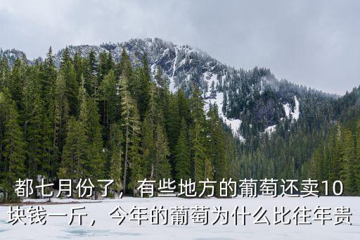 肇慶葡萄多少錢一斤,近期葡萄價格多少錢一斤