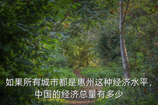 中國經濟總量是多少深圳,深圳加起來經濟總量有多大