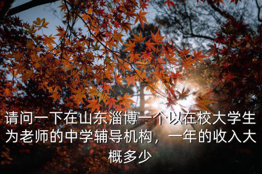 淄博人一年收入多少,一年的純收入是多少