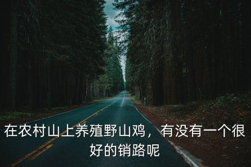 在農村山上養殖野山雞，有沒有一個很好的銷路呢