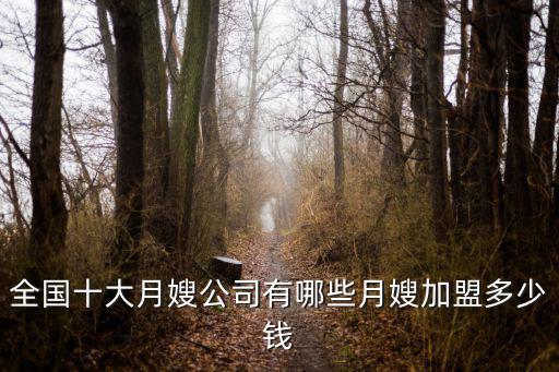 云浮加盟月嫂公司多少錢,全國十大月嫂公司有哪些