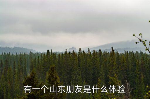 于廷山山東有多少個人,有一個山東朋友是什么體驗