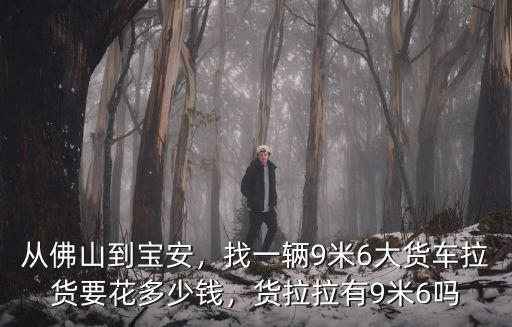 從佛山到寶安，找一輛9米6大貨車拉貨要花多少錢，貨拉拉有9米6嗎