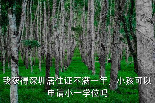 深圳申請(qǐng)小一學(xué)位要多少分,申請(qǐng)小一學(xué)位