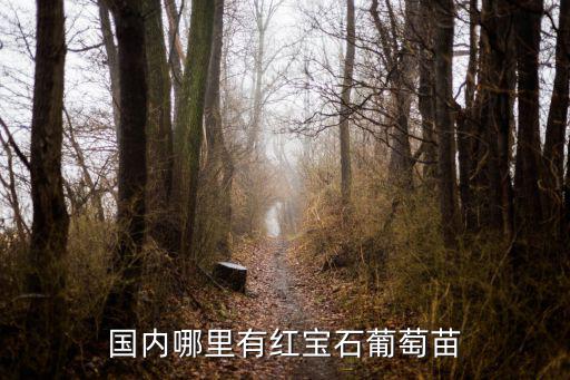 煙臺(tái)紅寶石葡萄價(jià)格是多少,藍(lán)寶石葡萄苗多少錢(qián)一棵