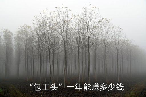 “包工頭”一年能賺多少錢