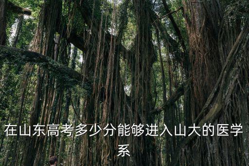 山東力明年口腔醫學錄取分數線多少,我是山東臨沂人