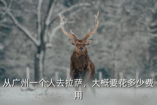 廣州南美多少錢一個(gè)人,大概要花多少費(fèi)用