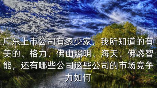 佛山上市公司總市值多少,還有哪些公司