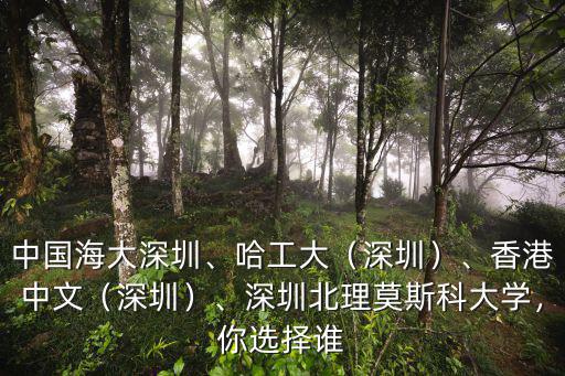 深圳中英文大學在哪里,深圳北理莫斯科大學