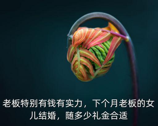 溫州老板女兒結婚紅包多少,溫州結婚娶媳婦要多少彩禮