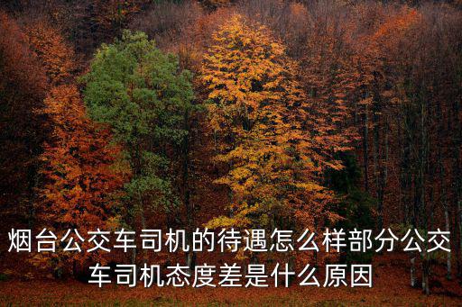 煙臺有多少地方招聘小車司機,什么平臺有120司機招聘