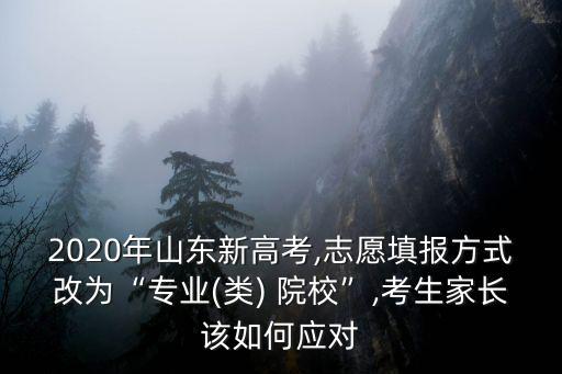 山東志愿填報多少個專業,志愿填報方式改為專業