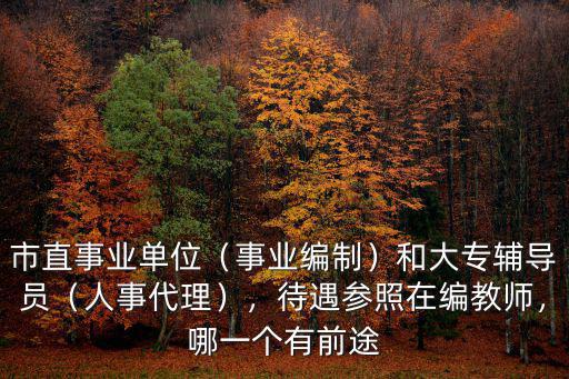 市直事業單位（事業編制）和大專輔導員（人事代理），待遇參照在編教師，哪一個有前途