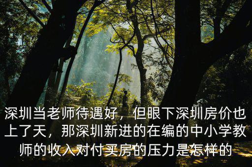 深圳當老師待遇好，但眼下深圳房價也上了天，那深圳新進的在編的中小學教師的收入對付買房的壓力是怎樣的