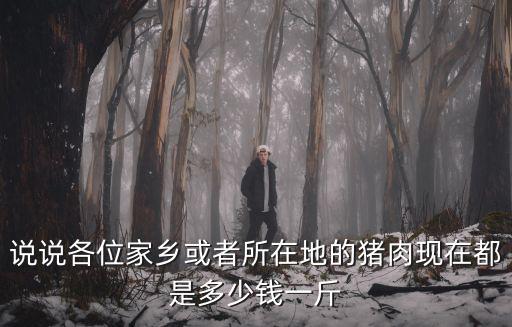 湖州的豬肉現在多少一斤,現在豬肉12元一斤