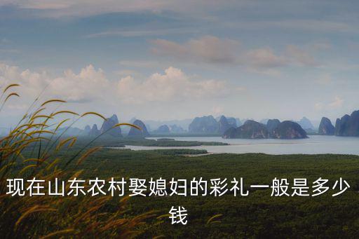 現(xiàn)在山東農(nóng)村娶媳婦的彩禮一般是多少錢