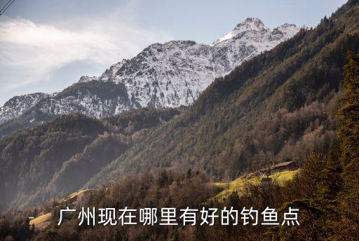 廣州釣魚去哪里買魚耳,在中山釣魚去哪里比較好